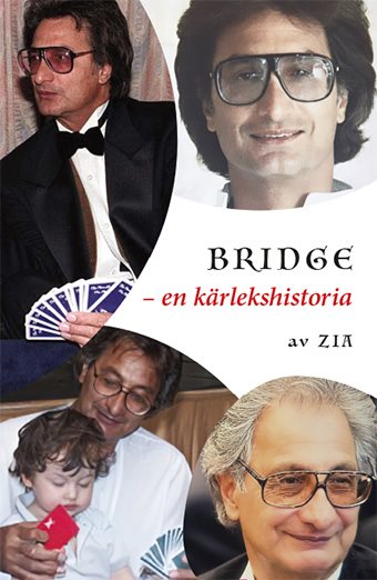 Bridge - En kärlekshistoria
